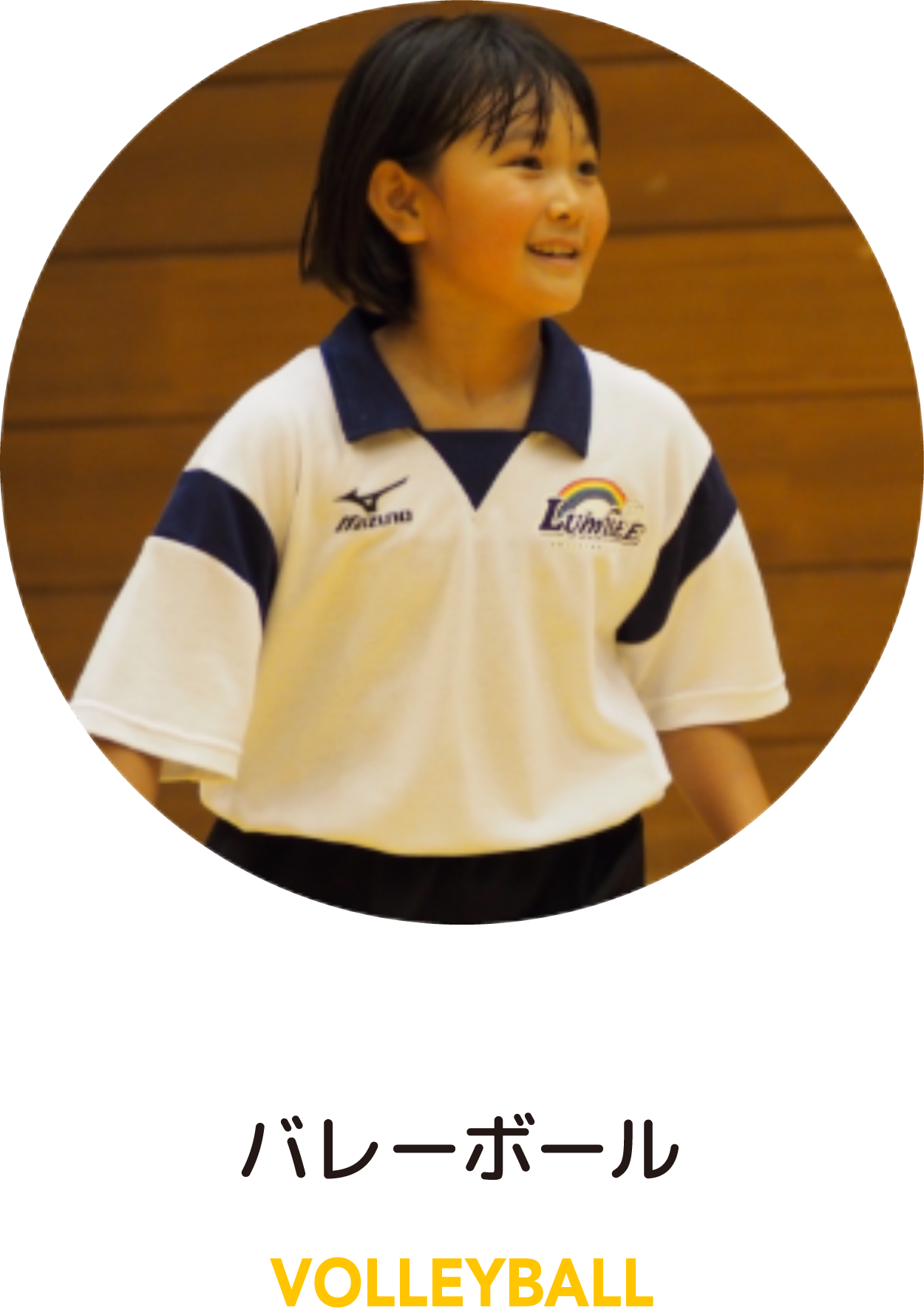 バレーボール VOLLEYBALL